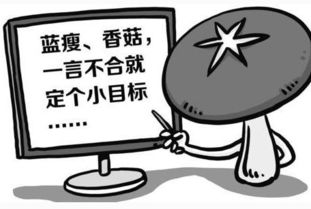 香港深圳神马信息化官网[深圳神马互联网信息有限公司]