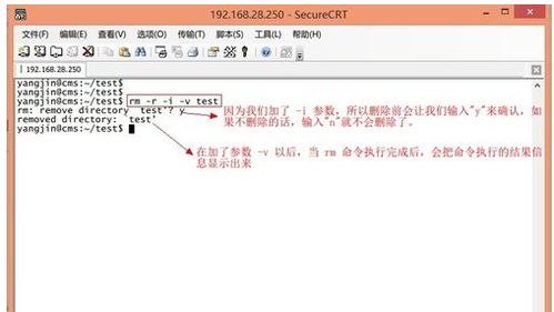 文件夹删除命令linux命令,删除文件夹 linux