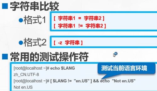 distinct命令用法,distinct语句