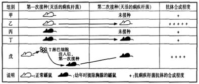 宜宾公园设计方案[宜宾公园什么时候开放]