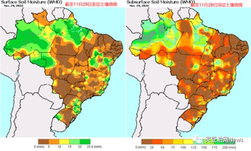 巴西南里奥格兰德州大豆收割受阻：预估产量增长68%