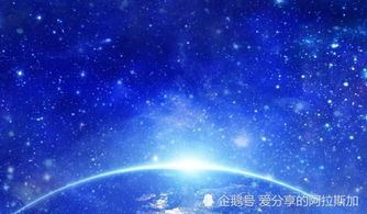 明天双子星座的运势[明天双子星座的运势如何]