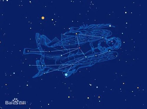 分析星座运势最准的女明星[星座分析很准的那个明星叫什么?]