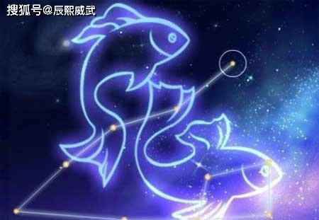 十二月双子星座运势[十二月双子星座运势如何]