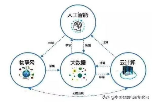 神马和百度有什么区别[夸克和神马什么关系]