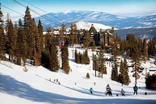  度假滑雪酒店游戏攻略 滑雪度假型酒店