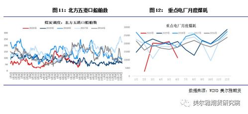 朴树价格表