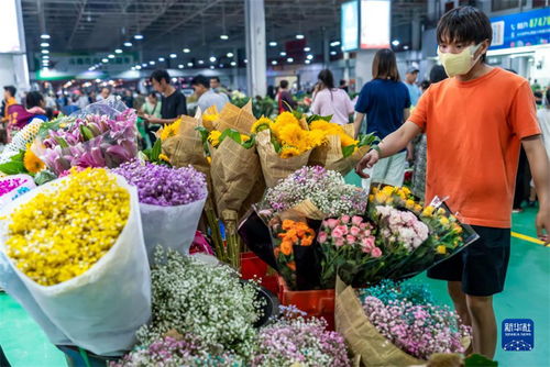  昆明的花市，全国第一的盛景 昆明的花市是全国第一吗还是第二