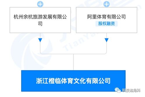  体育运动公司效果图设计 体育运动公司经营范围