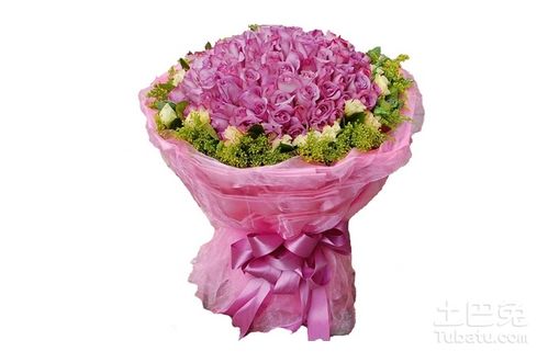 紫色玫瑰，神秘、高贵、浪漫与爱情的象征花语与寓意