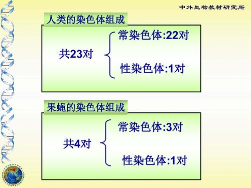 伴性遗传导课 伴性遗传导学设计方案 