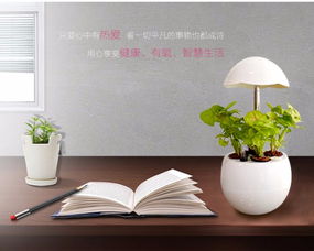 植物科普展品设计方案范文 植物科普展品设计方案 