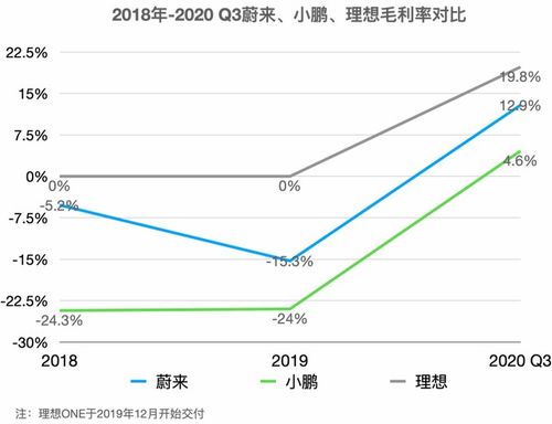 小鹏汽车毛利率 汽车毛利率，揭示行业盈利能力的关键指标 