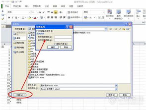 excel2013取消密码设置在哪里 Excel 2013取消密码，轻松解锁你的工作表 