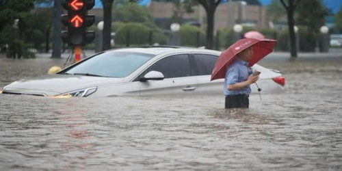 暴雨洪水过后这些卫生隐患一定要注意 暴雨洪水过后这些卫生隐患一定要注意的是 