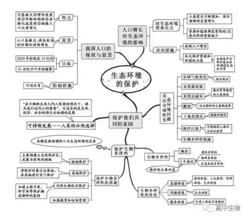 七上生物被子植物思维导图 