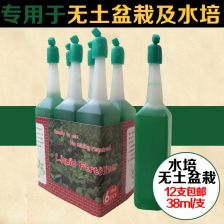 土培植物都需要营养液吗？ 