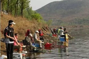 水库钓鱼揭秘游戏攻略