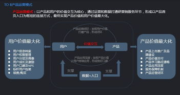 探索Procreate设计软件的魅力与功能