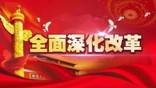 党的二十届三中全会公报，全面深化改革，推动高质量发展