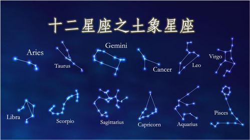 老陈说星座运势，解读星象之秘