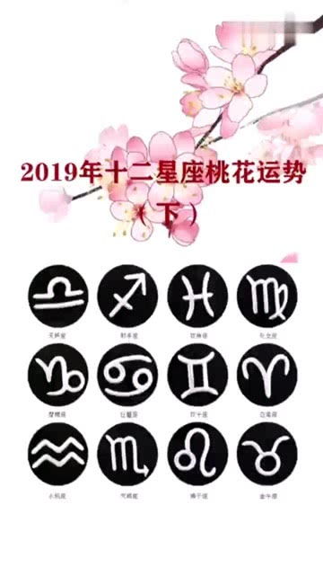 2019年十二星座爱情运势