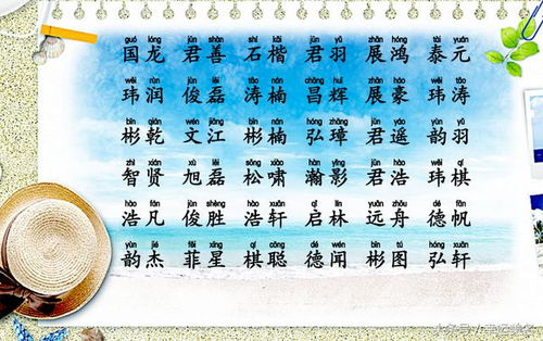 宝宝起名游戏攻略与名字大全，宝宝起名游戏攻略，名字大全