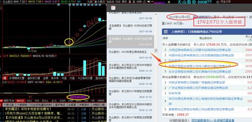 陈哥游戏攻略视频大全，陈哥游戏攻略，揭秘各大热门游戏的极致策略