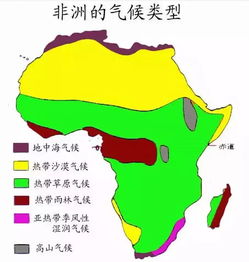 非洲气候板书设计