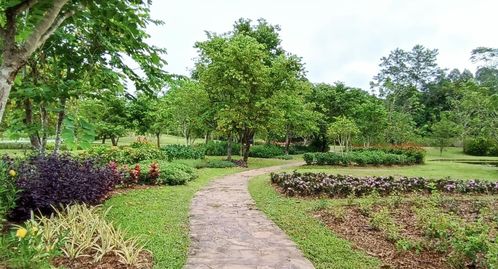 特色植物展示区设计图片