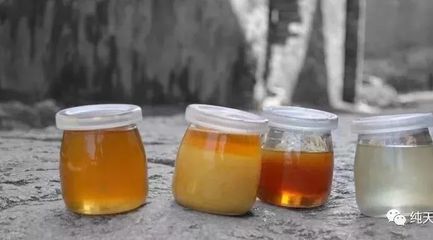 蜂蜜蜂胶的功效差异图片、蜂蜜蜂胶的功效和作用以及食用方法