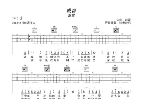 理想赵雷吉他谱[理想吉他谱赵雷c调前奏]