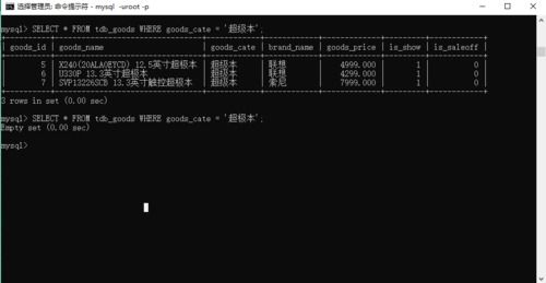 进入sql命令,进入sql命令行