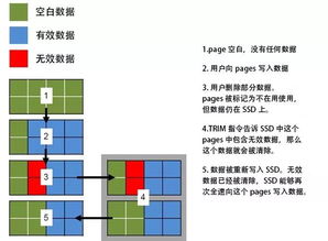 10.11trim命令,trim命令的作用