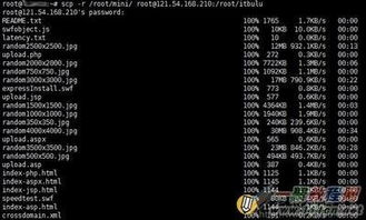 关于scp拷贝命令的信息