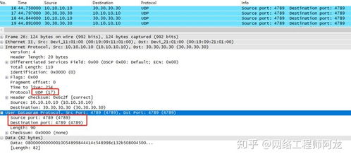 查看dncp命令,查看所有命令ensp