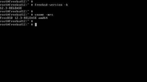 freebsd更新命令,freebsd 升级