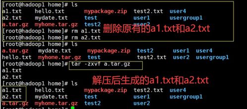 tar命令xzvf,tar命令压缩目录整个目录