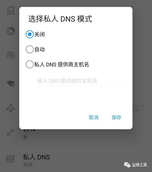 关闭dns命令,关掉dns