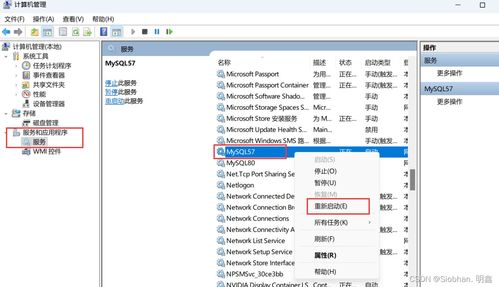 网页mysql命令,mysql 网页用户界面