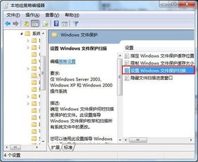 window查找命令,windows查找文件命令 findstr