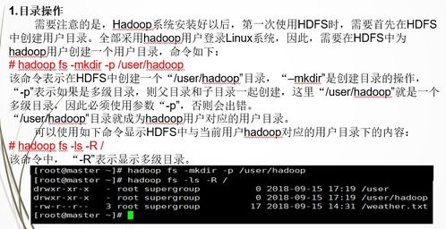 fs命令,hdfs命令