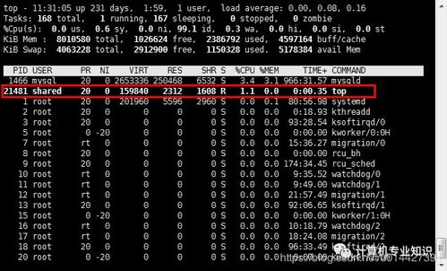 linuxcd命令,linuxcd命令的用法