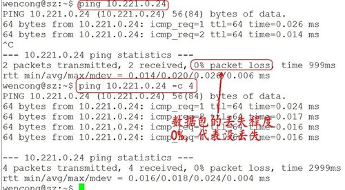 什么命令ping,什么命令填空填动词