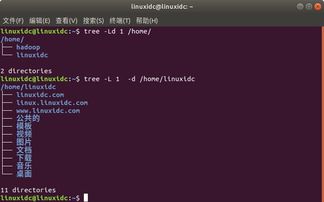 ptree命令,tree命令详解