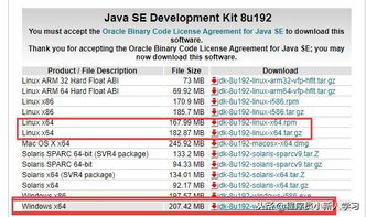 java读入命令,java 读取命令行输入