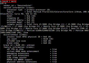 命令查看cpuid,命令查看cpu实时状态