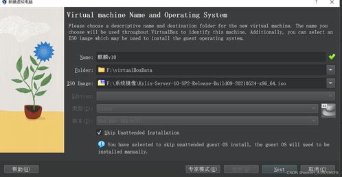 麒麟linux命令,麒麟linux v10