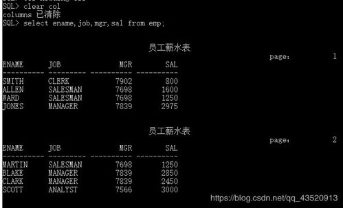 调用sql命令，sqlplus调用函数