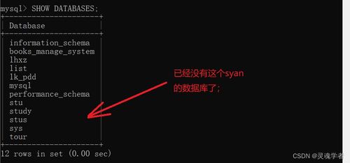 mysql中删除数据库命令,mysql删除数据库命令语句